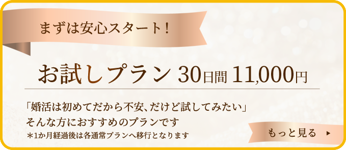 お試しプラン
