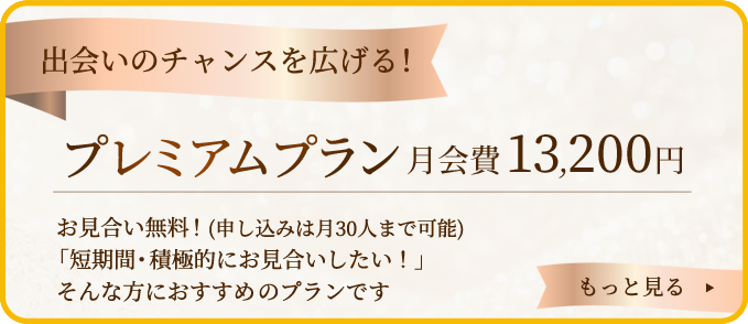 プレミアムプラン