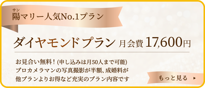 ダイヤモンドプラン