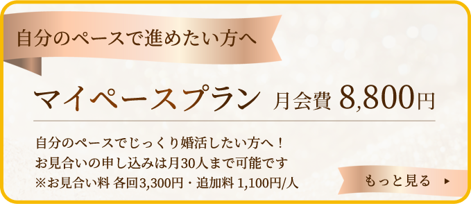 マイペースプラン